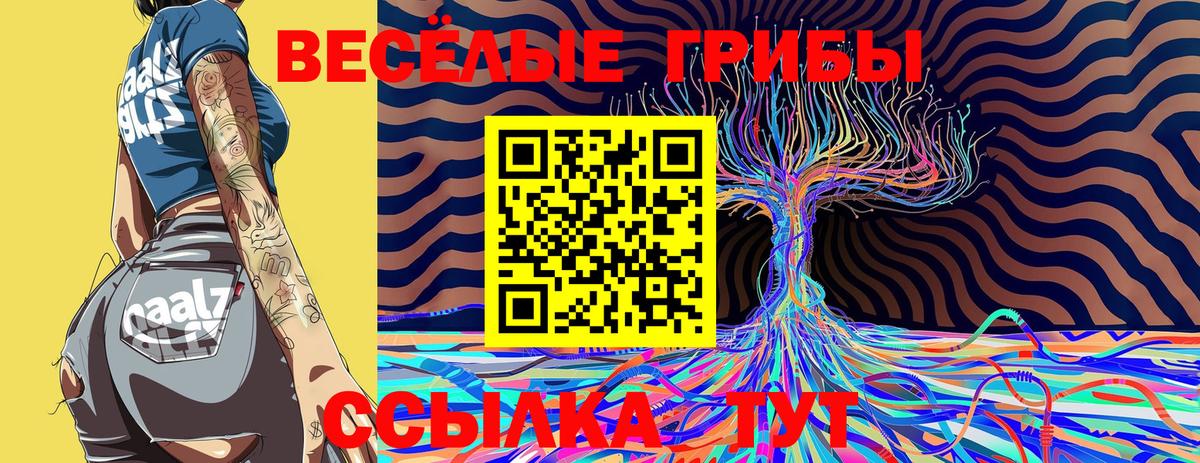 где можно купить   Вход с VPN  Камень-на-Оби  Галлюциногенные грибы Psilocybe 