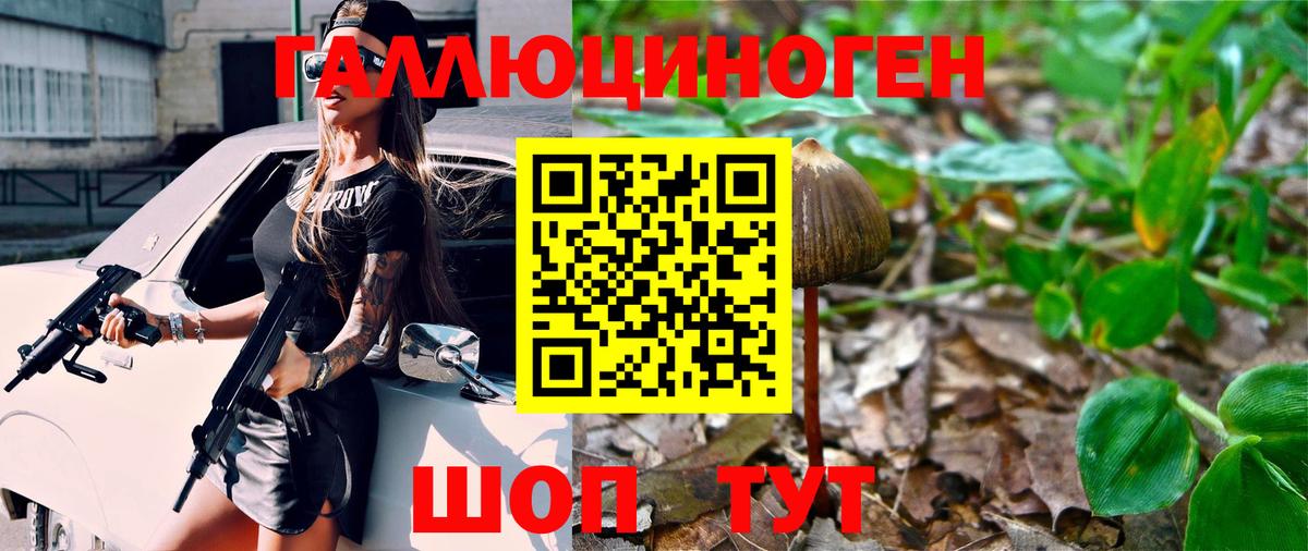 Конопля Камень-на-Оби