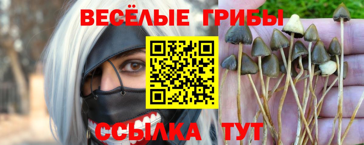 Меф кристаллы  ГАШ  COCAIN  Камень-на-Оби  Каннабис  Вход с VPN 