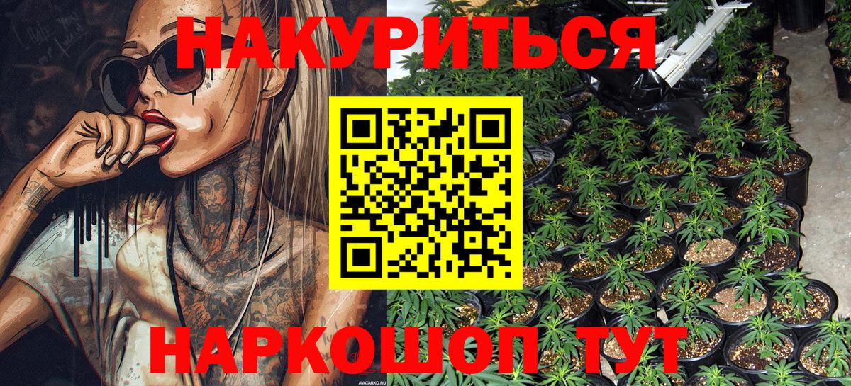Камень-на-Оби  Канабис тримм  Вход с VPN  Конопля сатива  Каннабис индика 